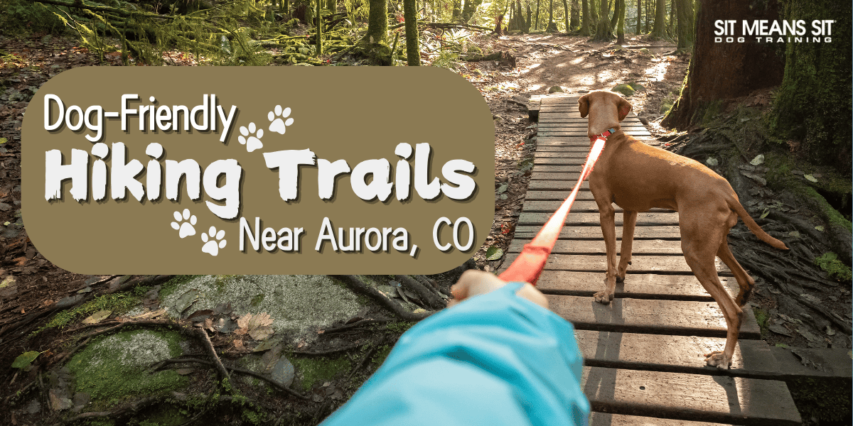 Dog-Friendly Hiking Trails Near Aurora, Colorado