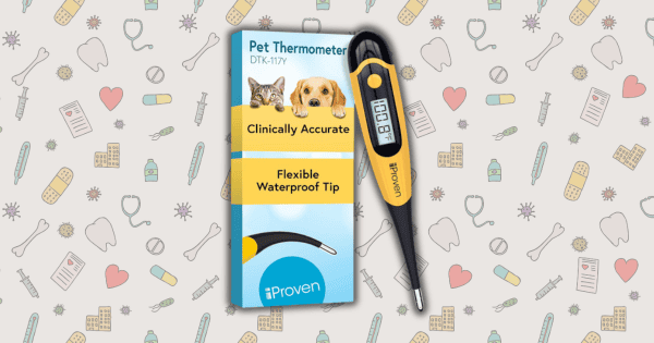 The Best Thermometers for Dogs