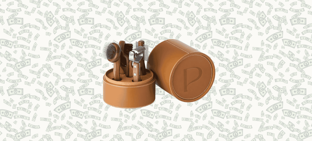 Luxury Pet Accessories to Pamper Your Pooch