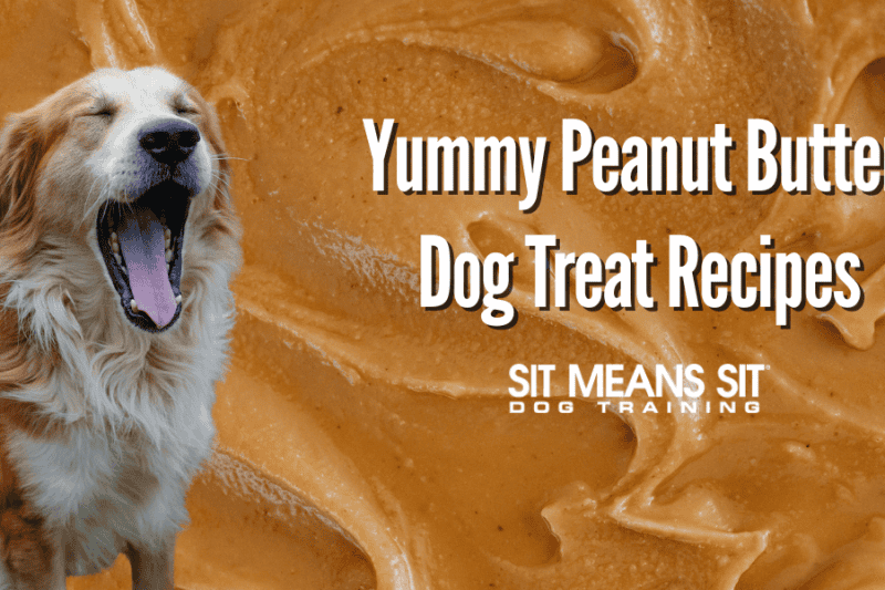 peanut butter dog treats