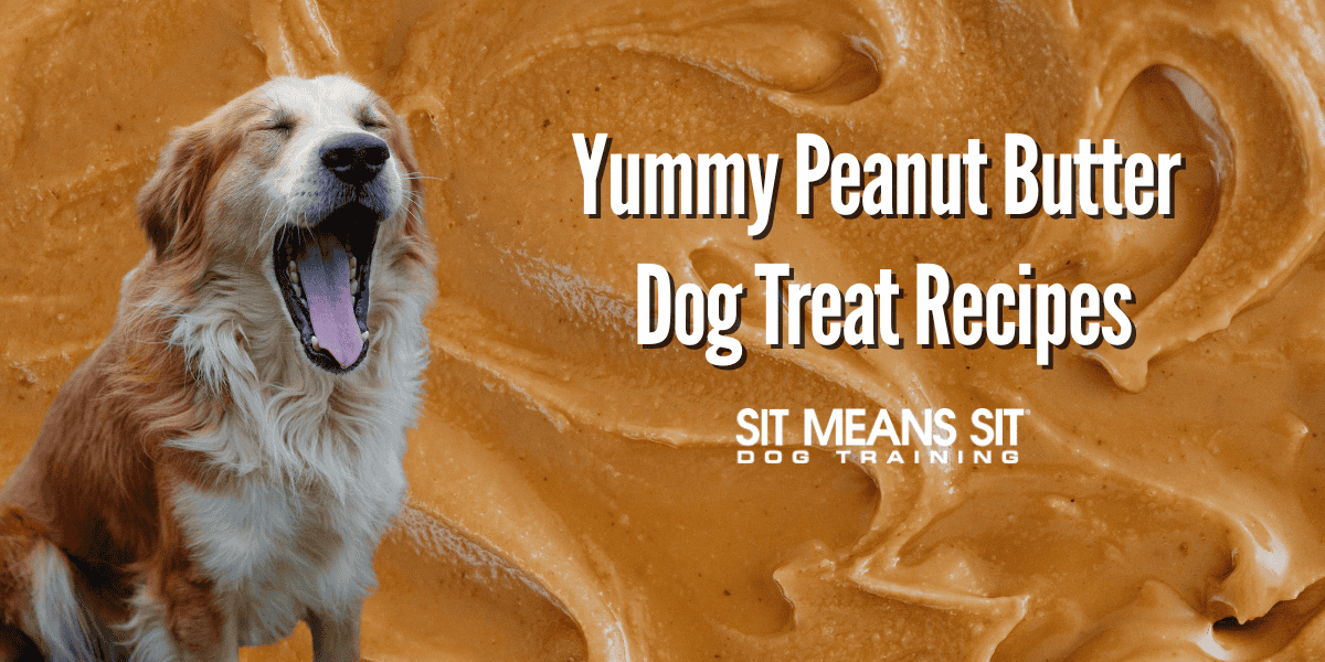 peanut butter dog treats