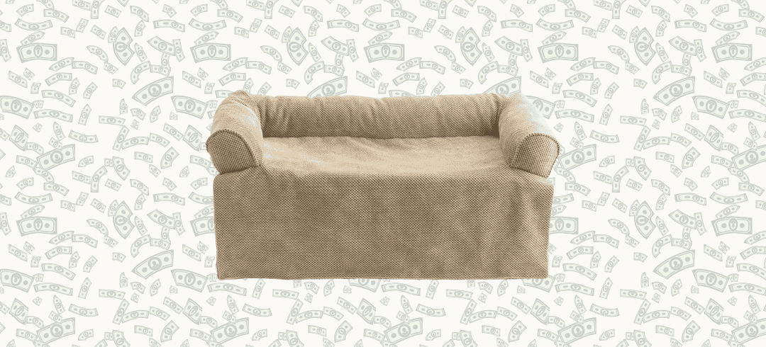 Luxury Pet Accessories to Pamper Your Pooch