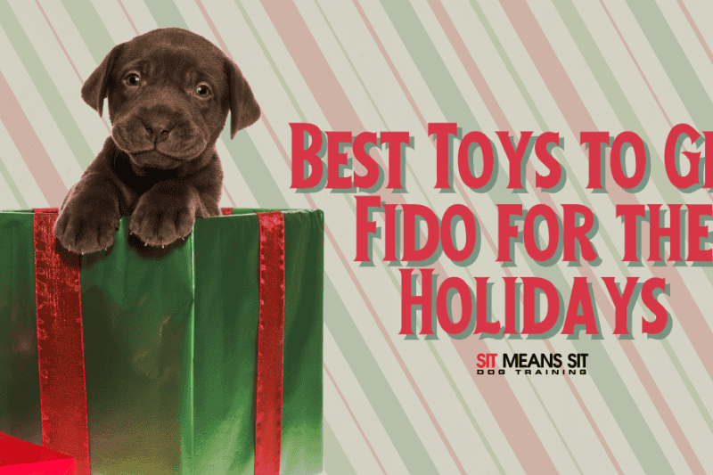 The Best Toys to Get Fido for the Holidays