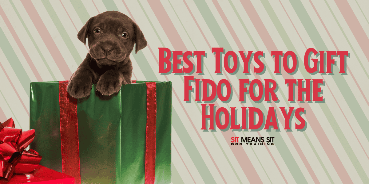 The Best Toys to Get Fido for the Holidays
