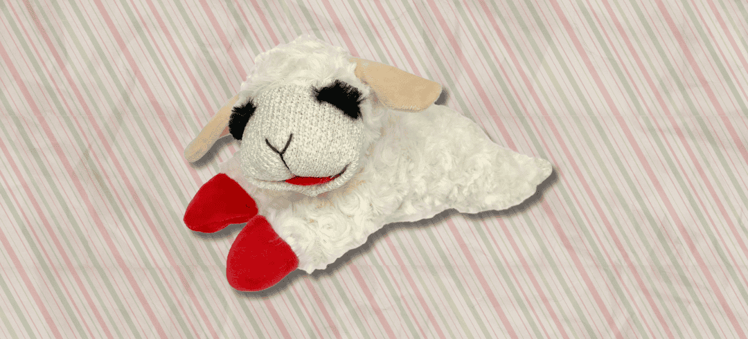 The Best Toys to Get Fido for the Holidays