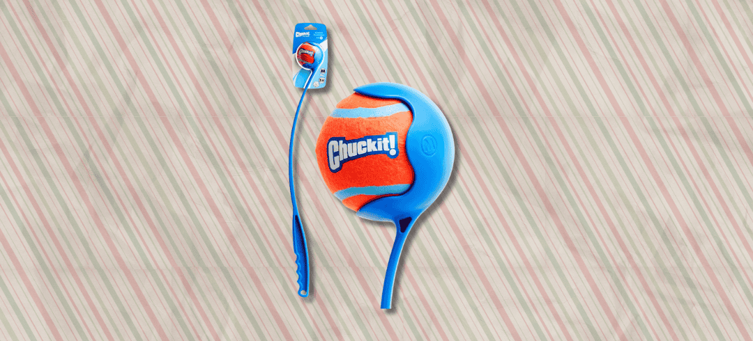 The Best Toys to Get Fido for the Holidays