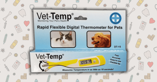 The Best Thermometers for Dogs