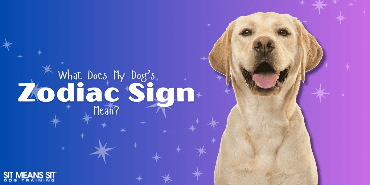 What Does My Dog's Zodiac Sign Mean?