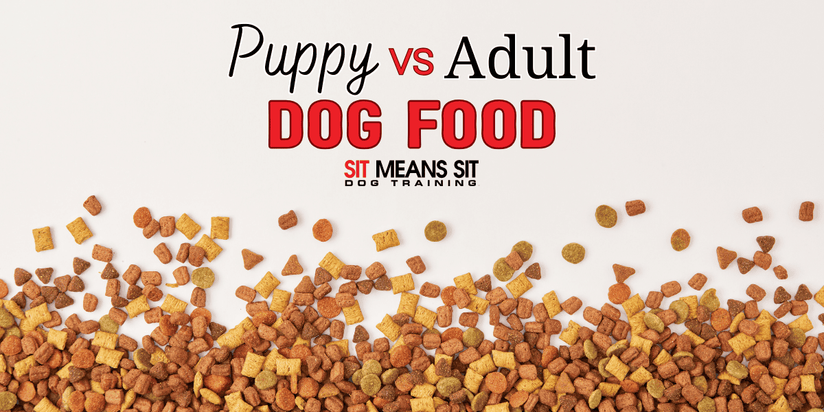 What's the Difference Between Puppy Food and Adult Dog Food?
