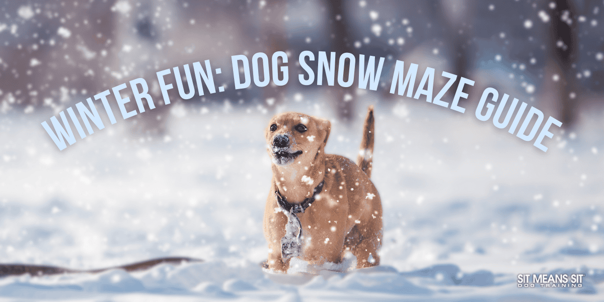 Winter Fun: Dog Snow Maze Guide